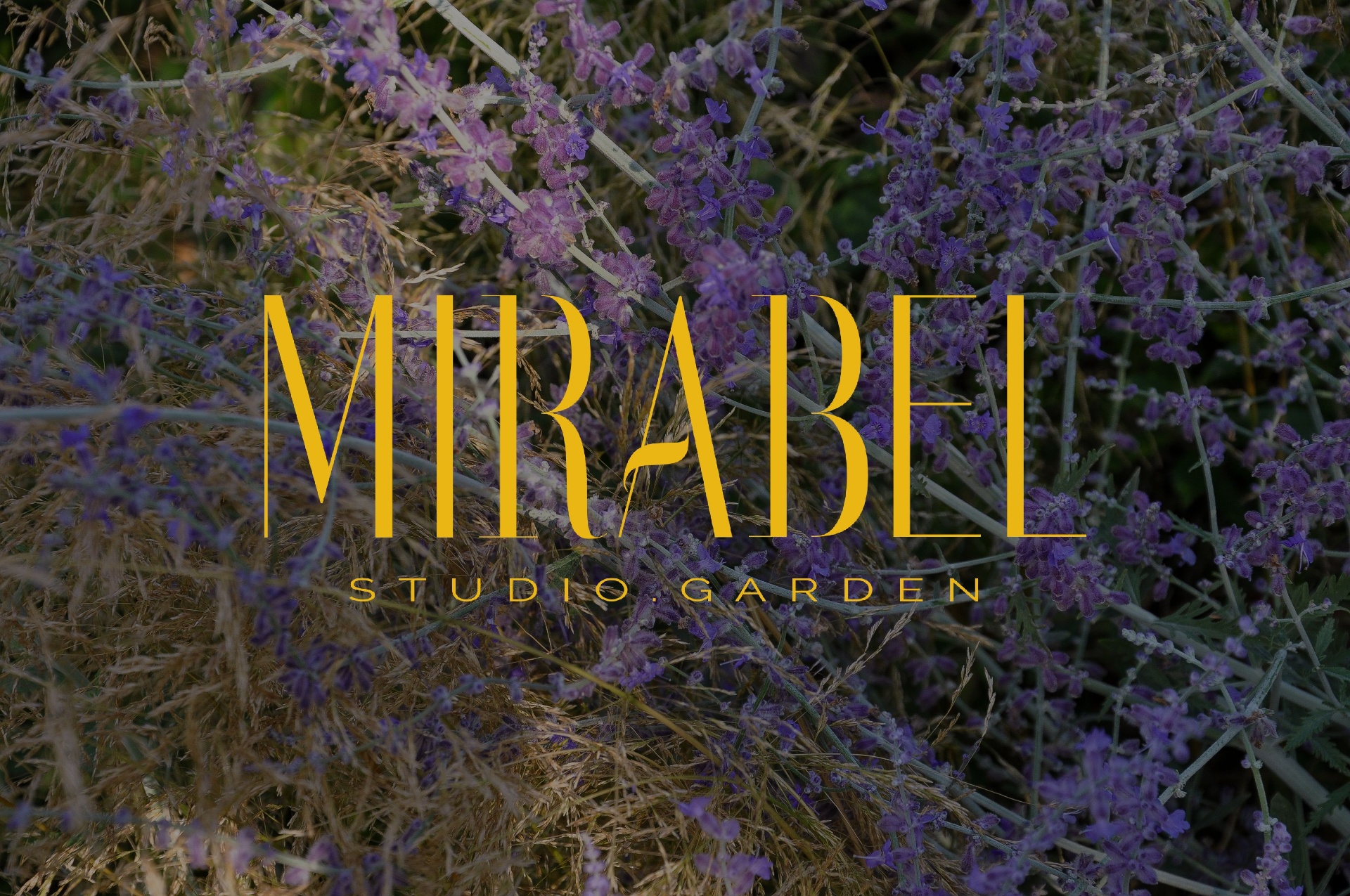 Mirabel Studio Garden - Kontakt